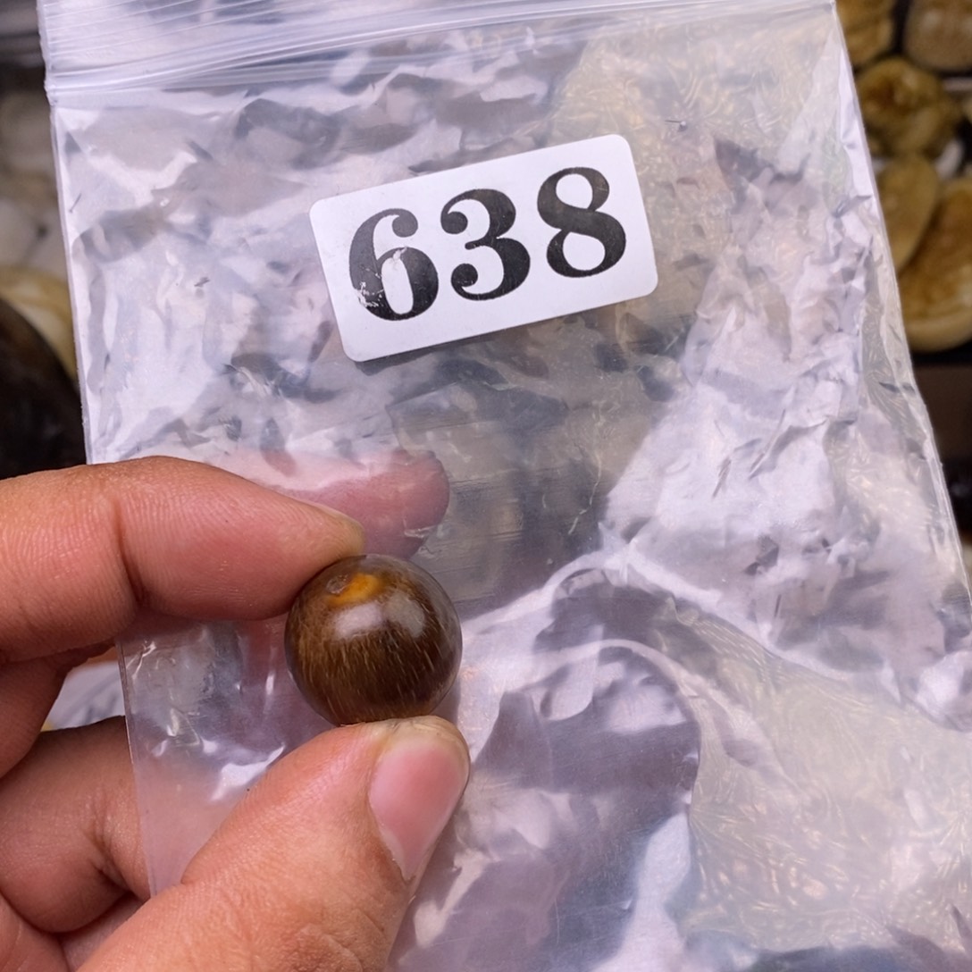 其他驼骨人工样子