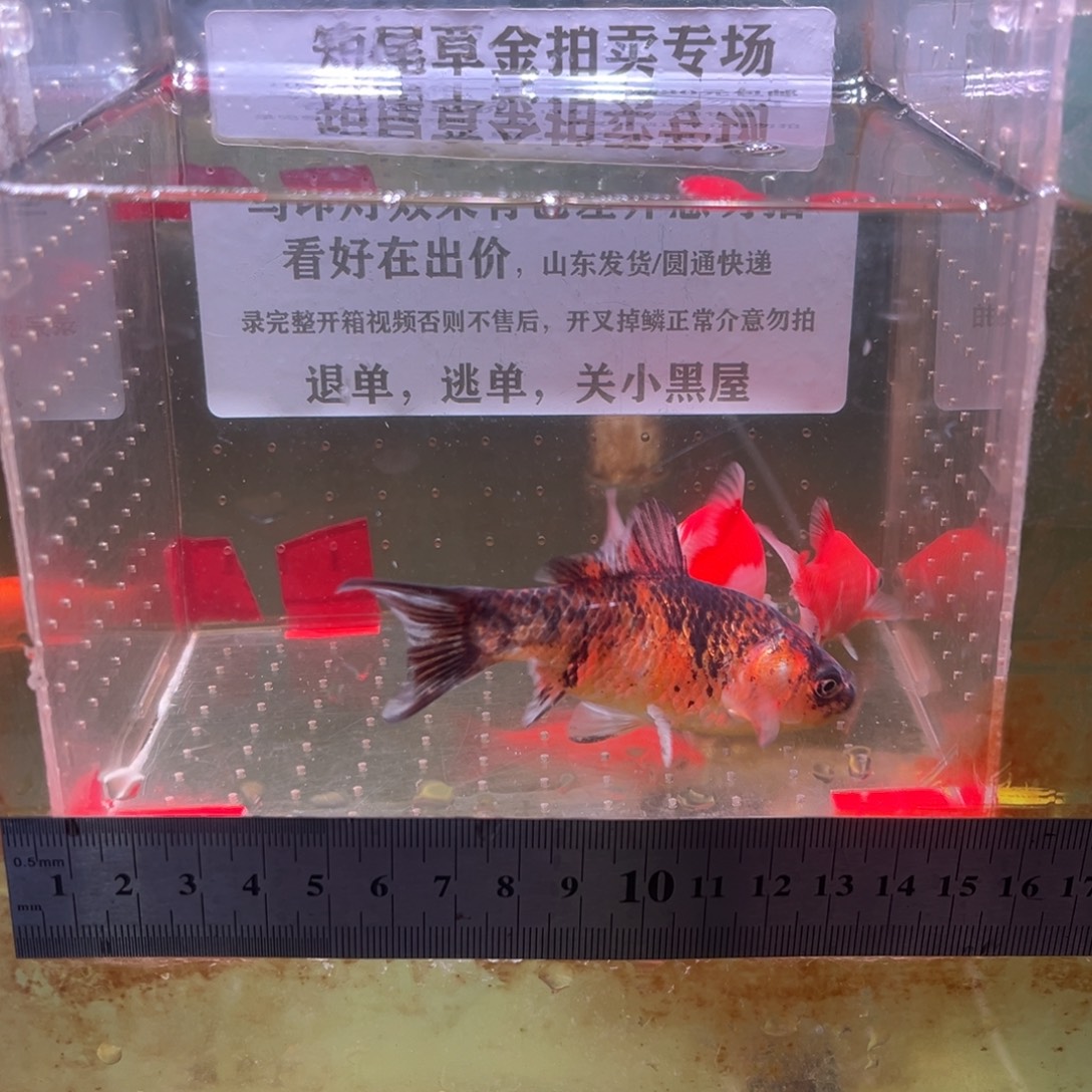 海水鱼80号楼一层楼顶
