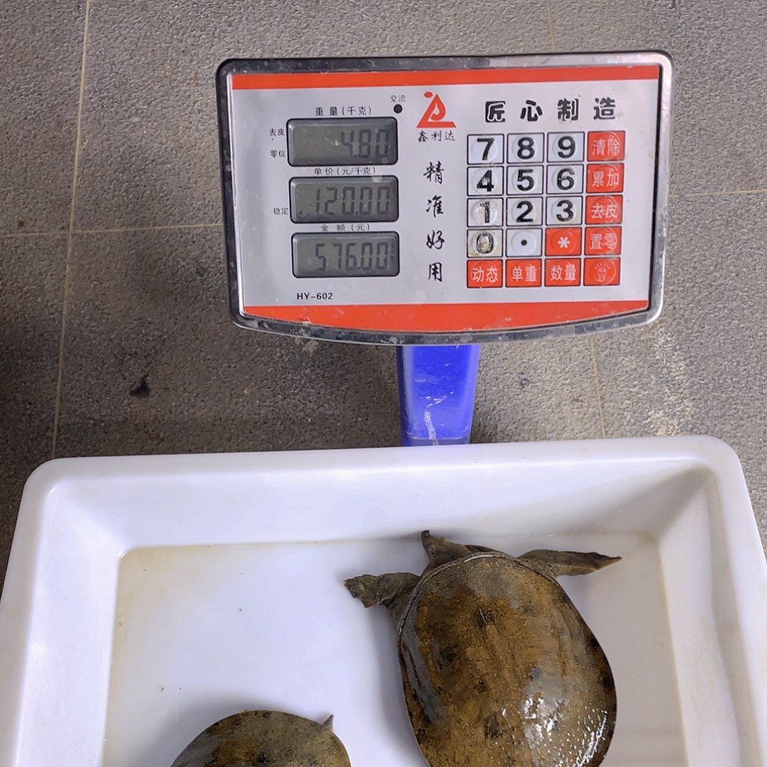 中国大陆12345678