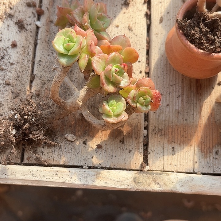 薇**Nc b v x ch h 349