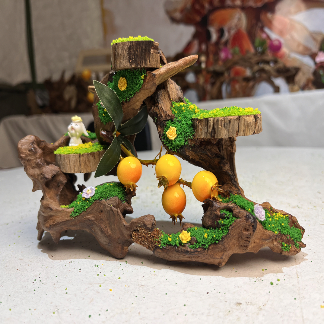 寄居蟹造景沉木尺寸.25.10.13