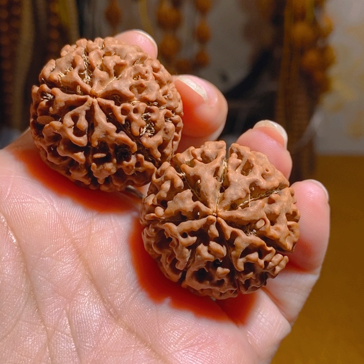 野生多瓣大金刚手把件327