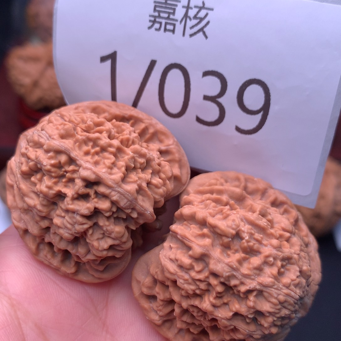 文玩核桃把件39老树满天星