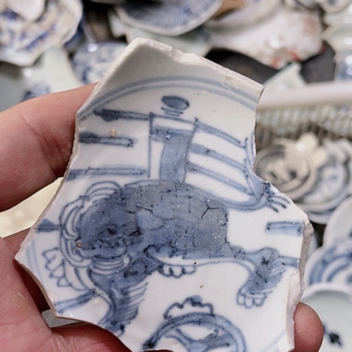 【闪购商品】瓷片瓷片瓷片瓷片瓷片