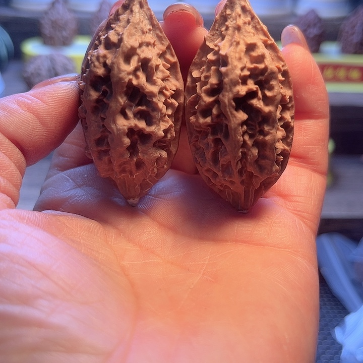 核桃8号车chuangxunlian