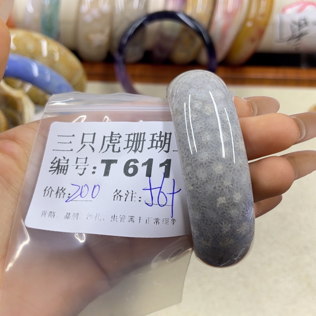 中***子硅化珊瑚（珊瑚玉）未镶嵌h