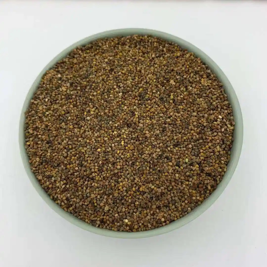 正宗原生态山货兔、丝丝子、无根子、金丝子煮水、煲汤泡水