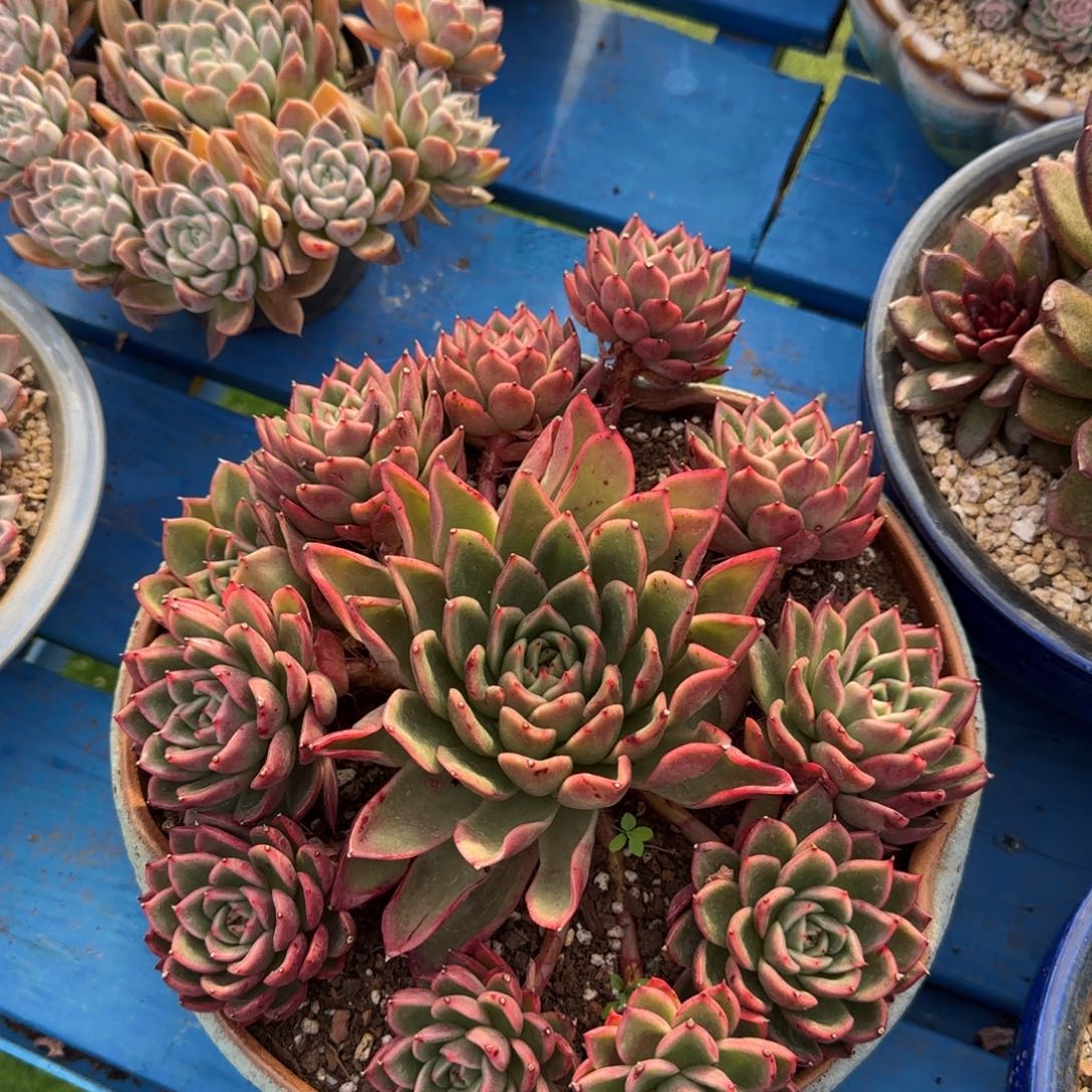 福利多多多多多多多