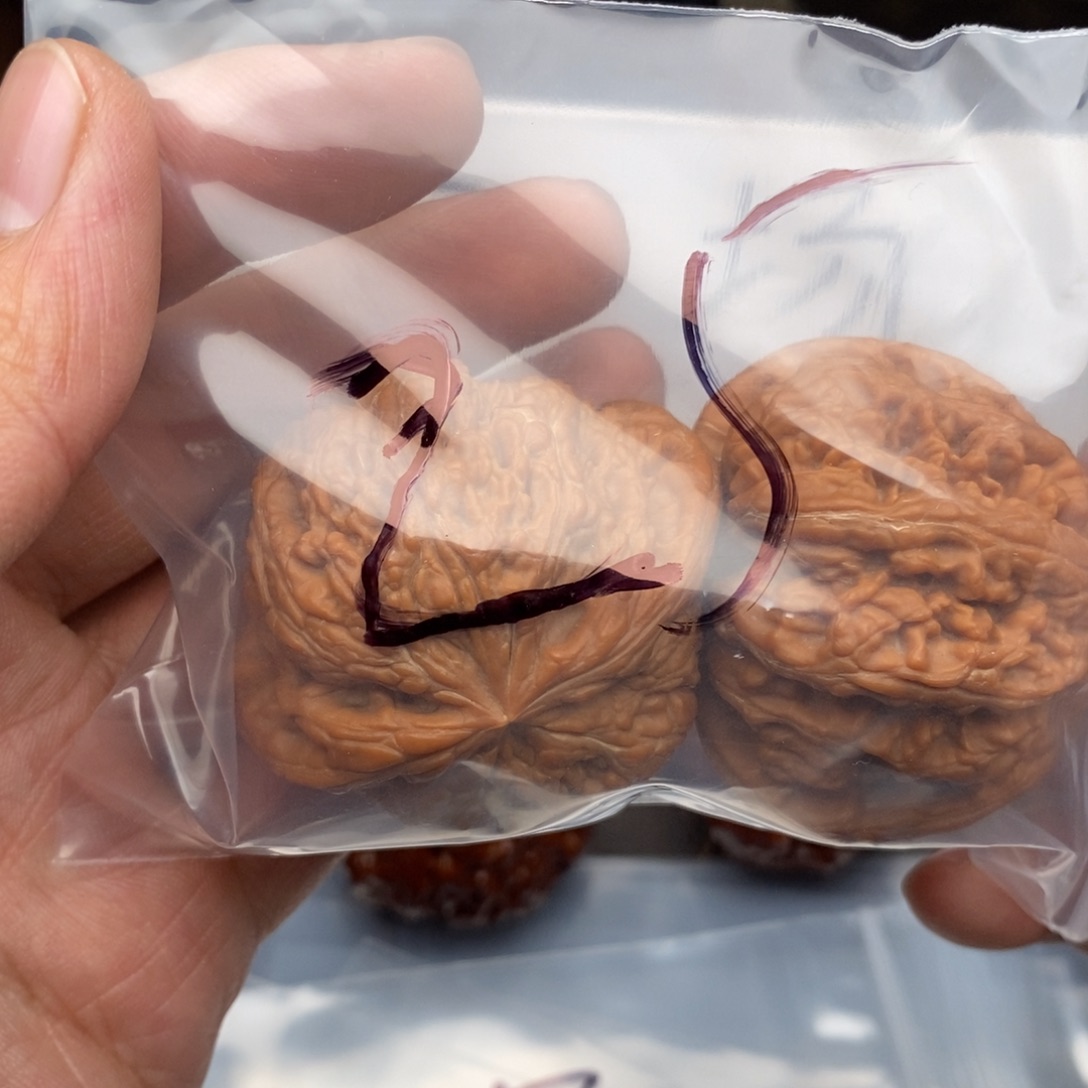 M****8735735537375735375