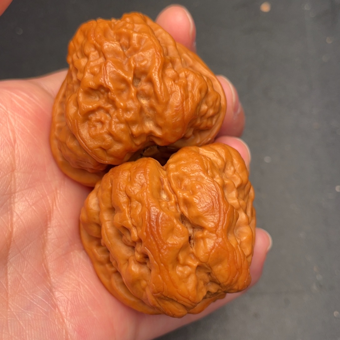 秦岭野生文玩核桃