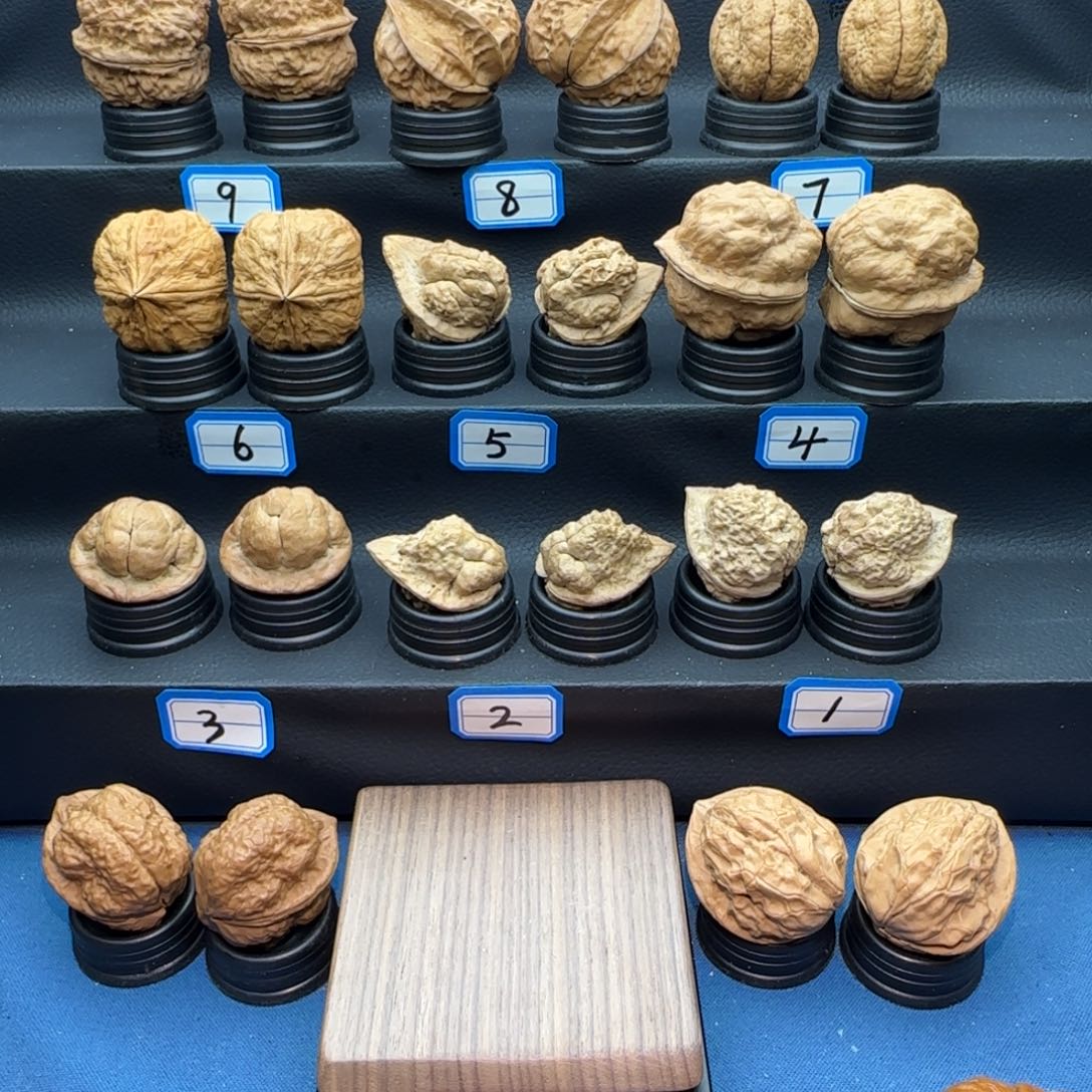 顺***6把件桃核生命之源