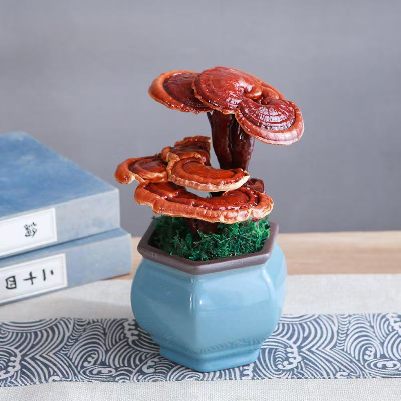 高端大气灵芝盆景