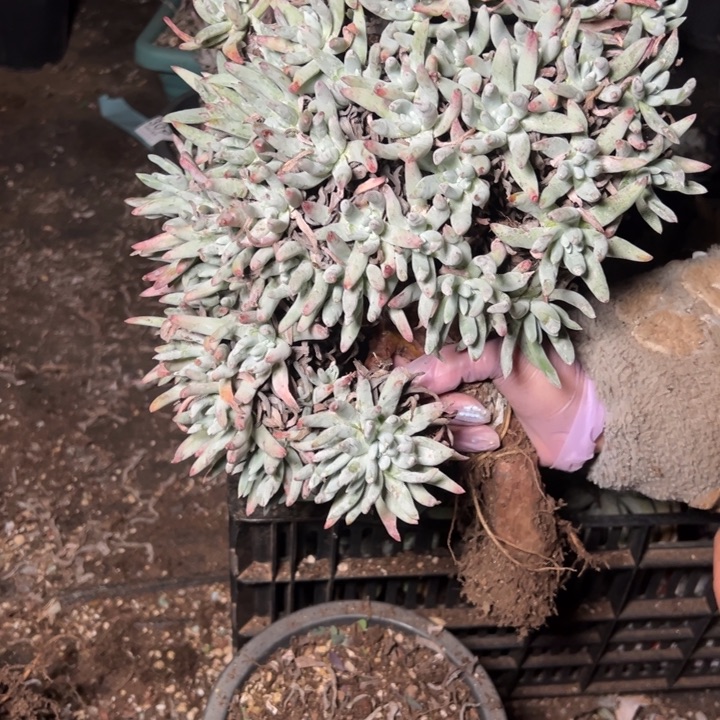 324哈哈哈哈哈哈哈哈