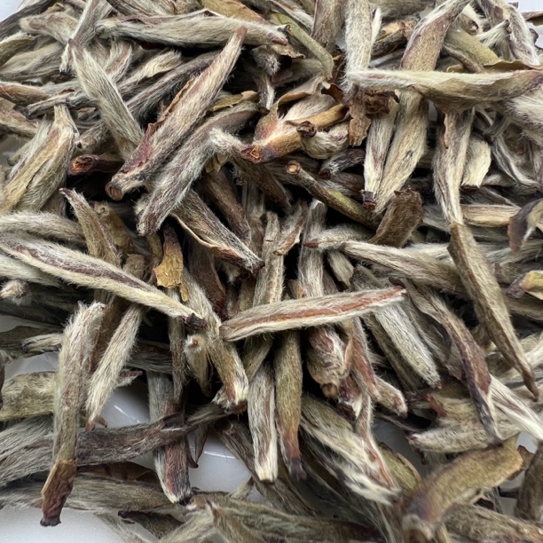 《珍藏.老银针》福鼎白茶2017年白毫银针/高山特级老银针/250克
