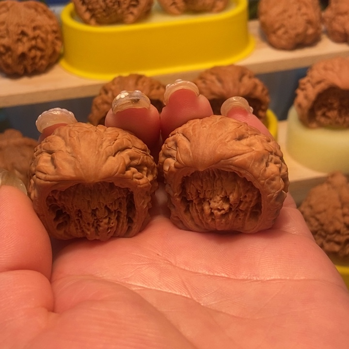 官方网站发布信息