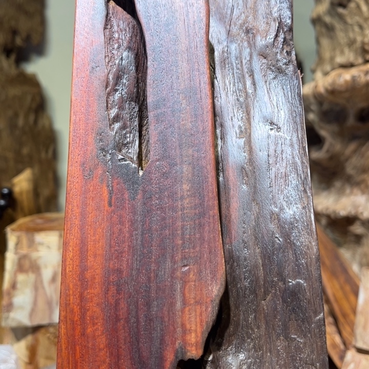 瑞***复香榧木赞比亚木木木木木木