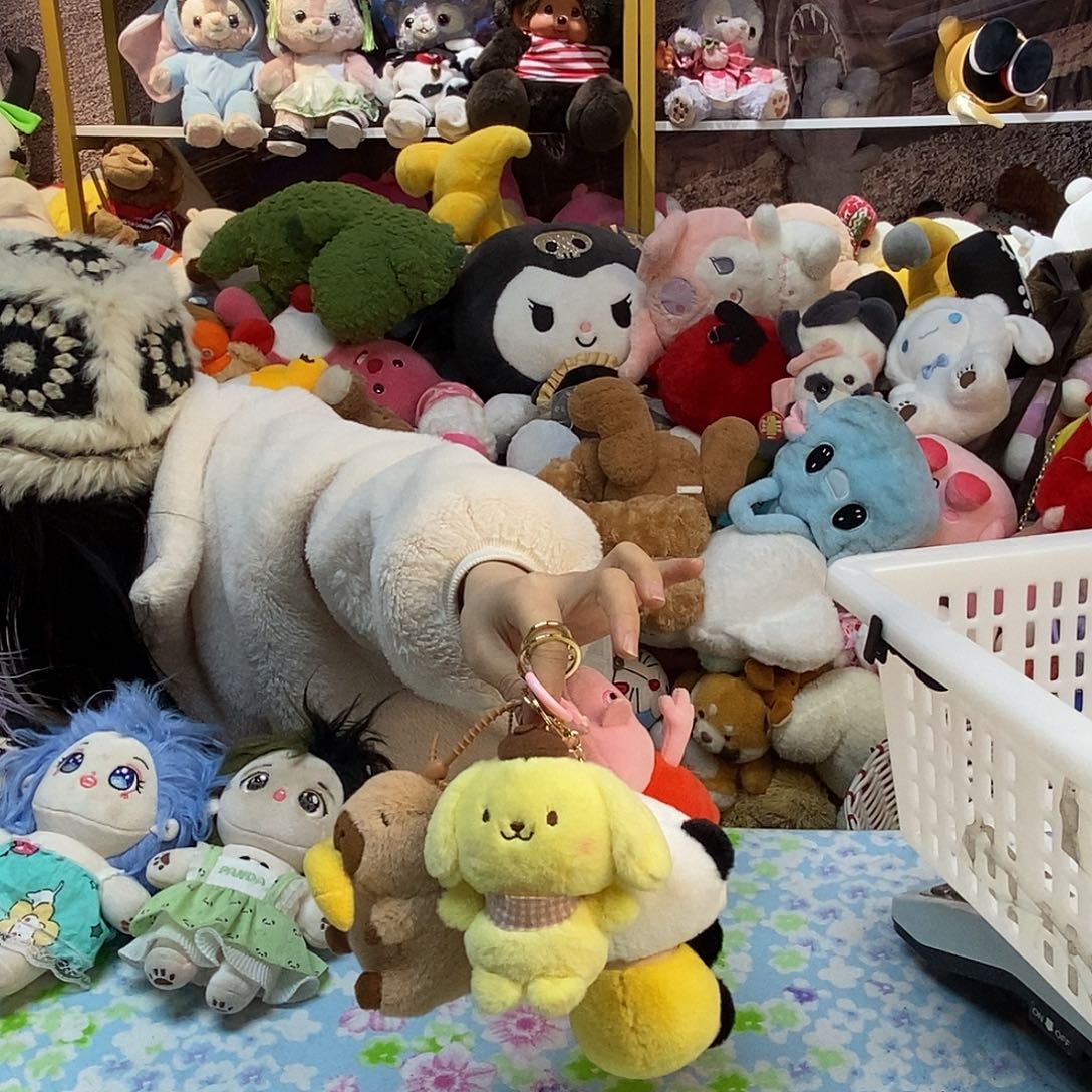 毛绒杨*毛绒玩具362