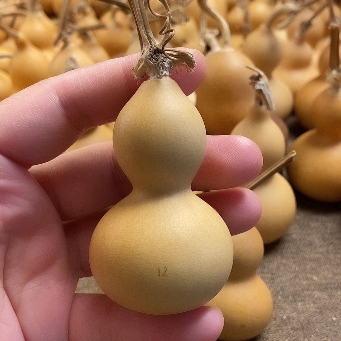 文玩葫芦 完美主义者 慎拍12