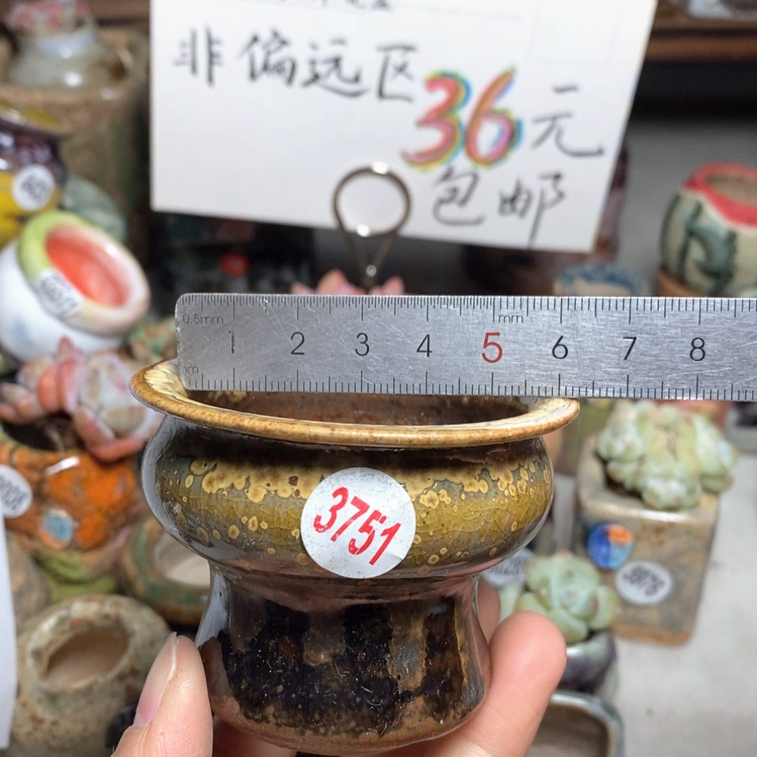 花盆拍5个送一个小礼物