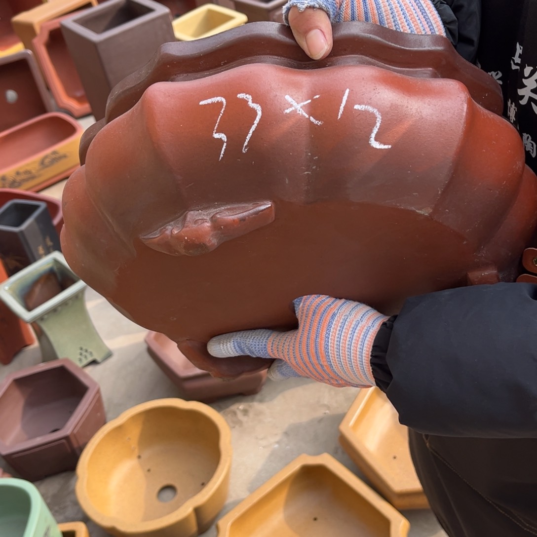 紫砂花盆盆景艺术