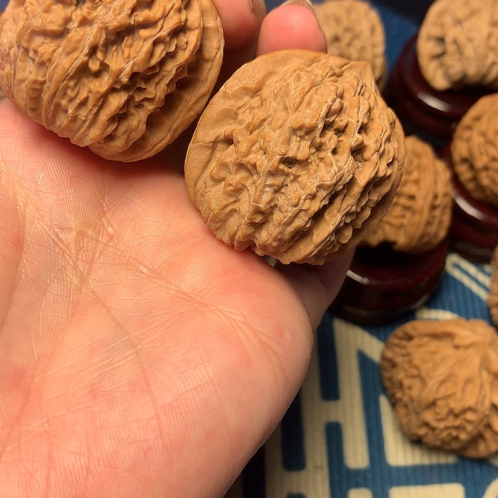 42尺全品无修137狮子头