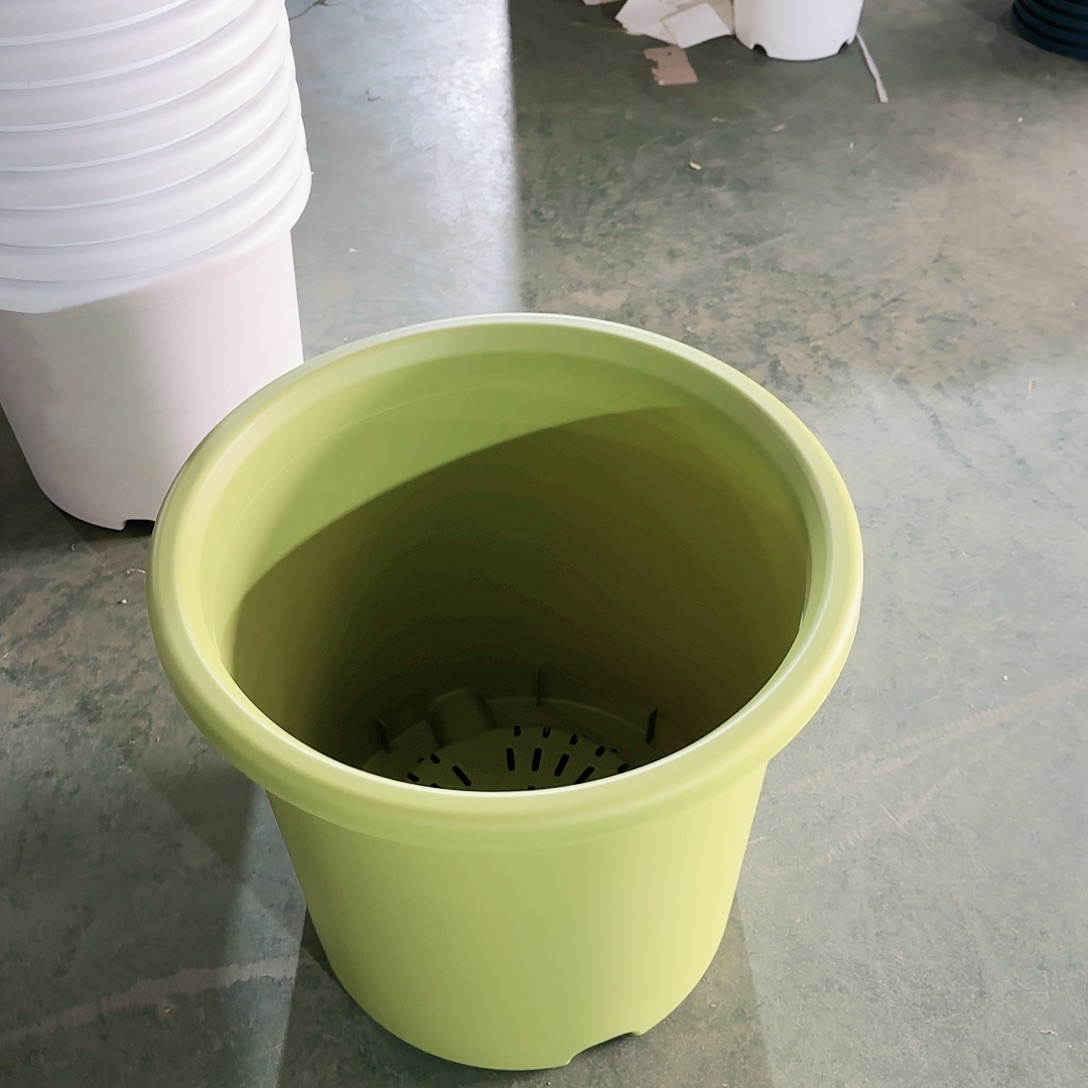 红陶四季55口径果绿1个无拖