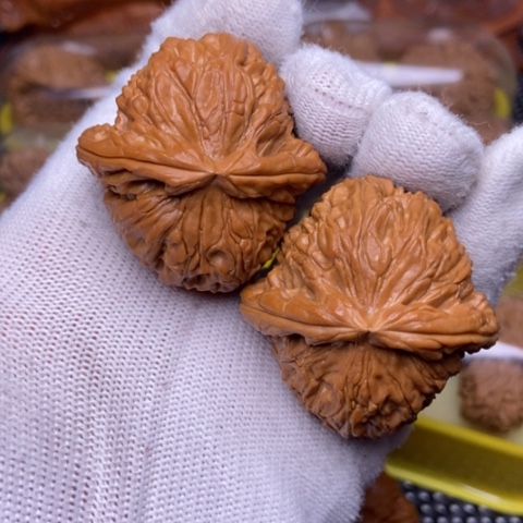 文玩核桃把件白狮子42