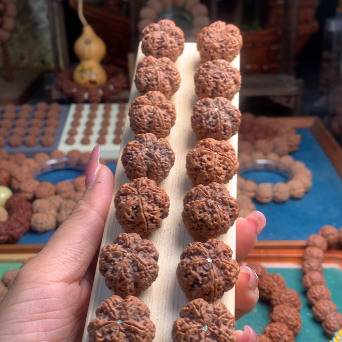 妄***念手串金刚菩提梅花