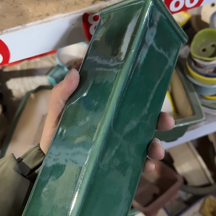 这一期太有意思咯好棒好可爱呀