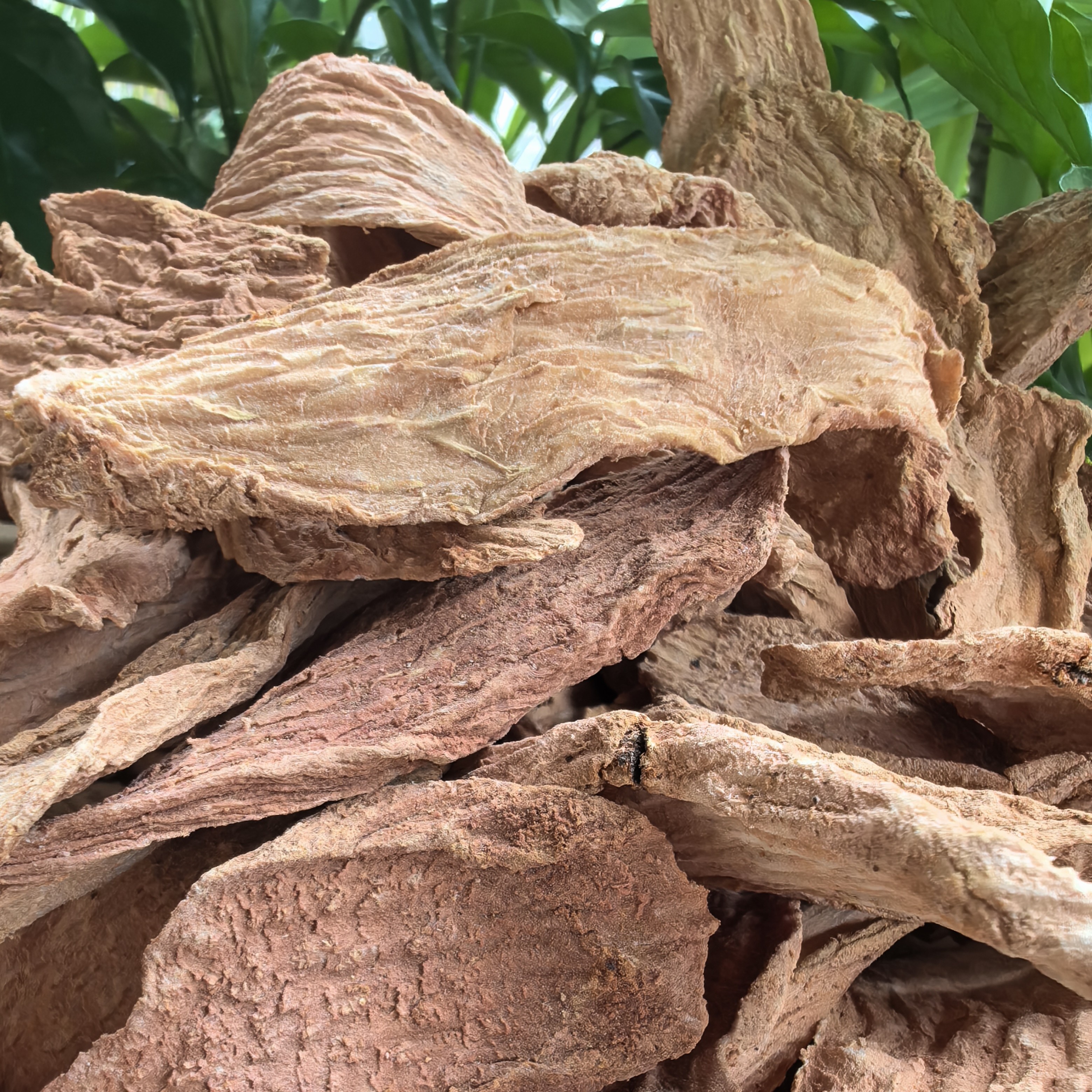 【阿海精选】土特产琐阳