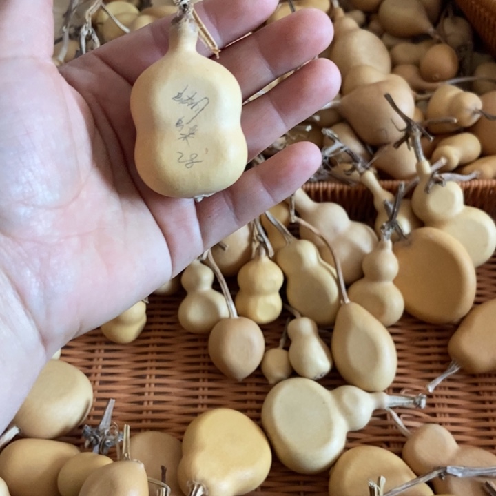 .****蝴蝶蝴蝶恭喜发财