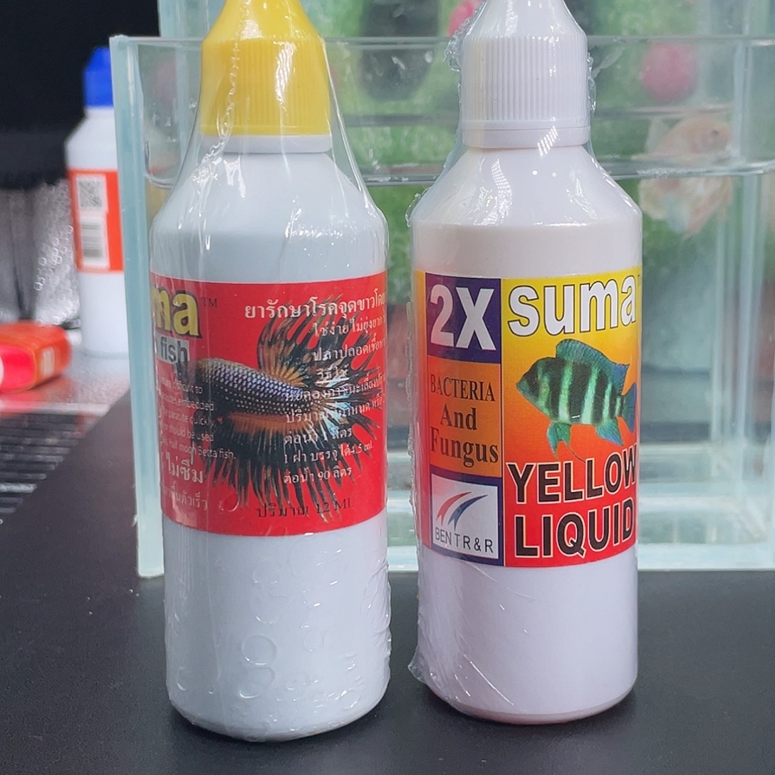 两瓶组合紫盖黄盖