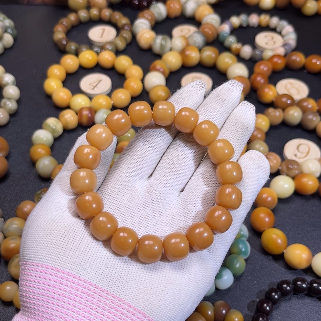 菩提根/象牙果手串咖色卡14