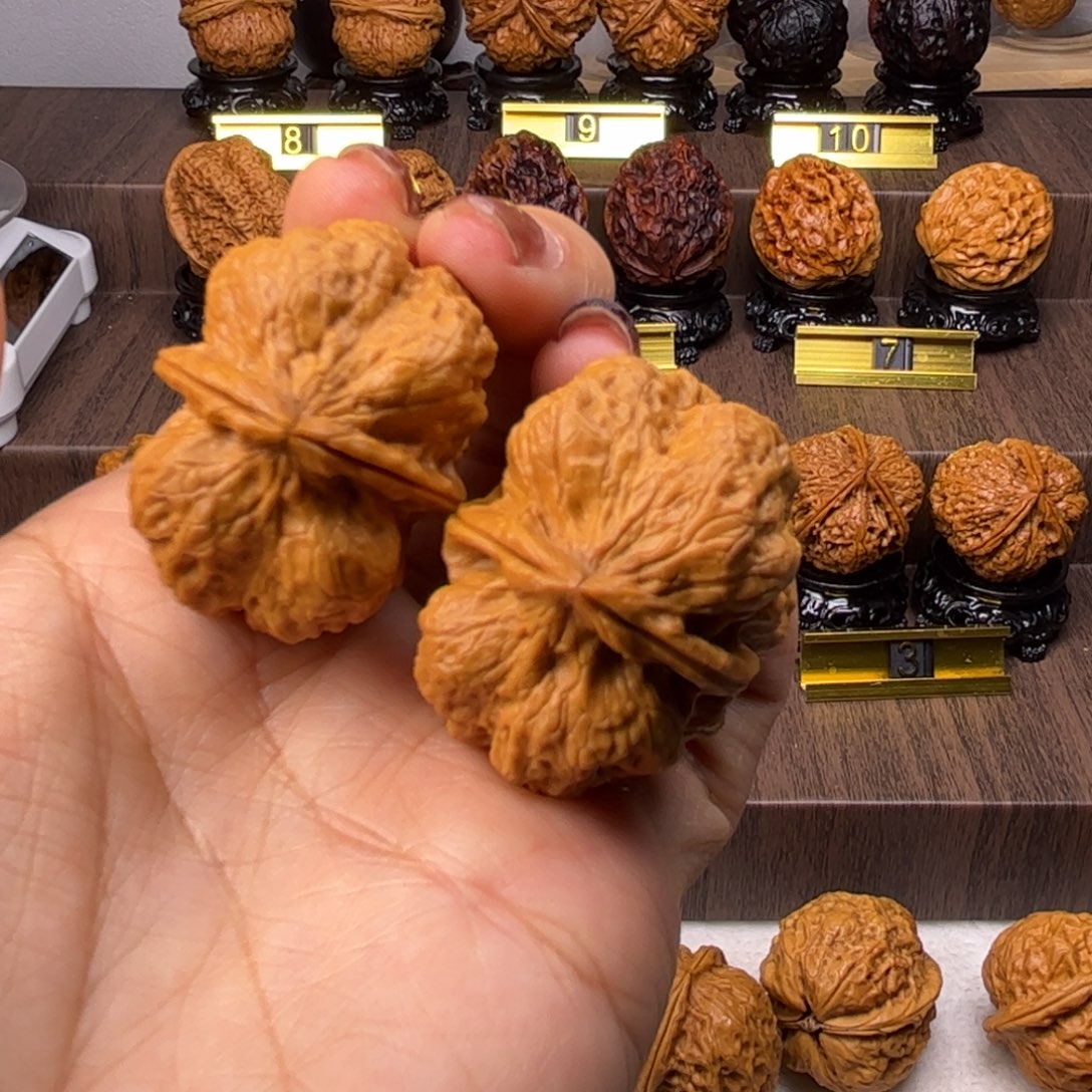 文玩核桃把件金樽龙脊39尺