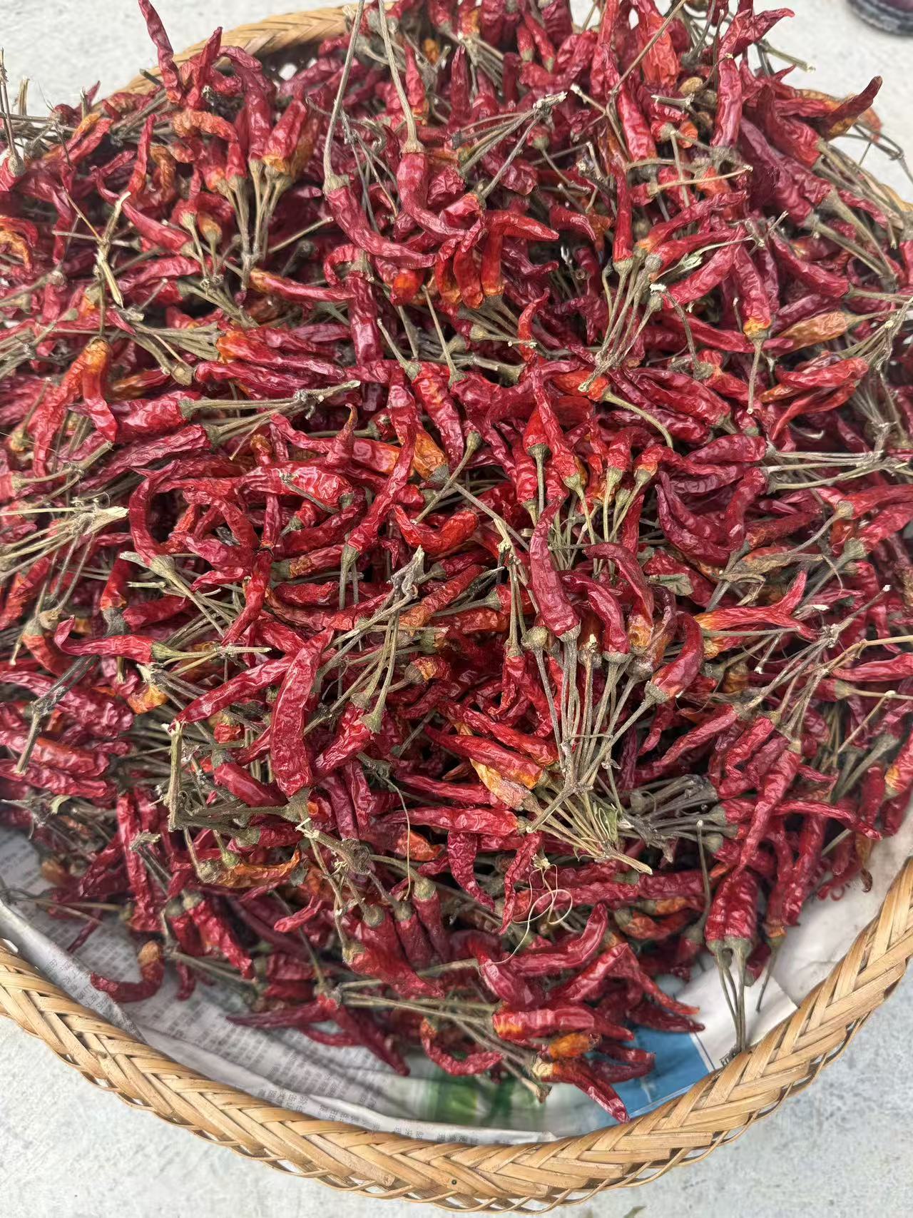 【一村一品沅古坪】干辣椒包邮农家自种