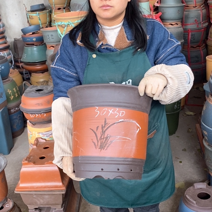 紫砂花盆盆栽花卉苗木种植