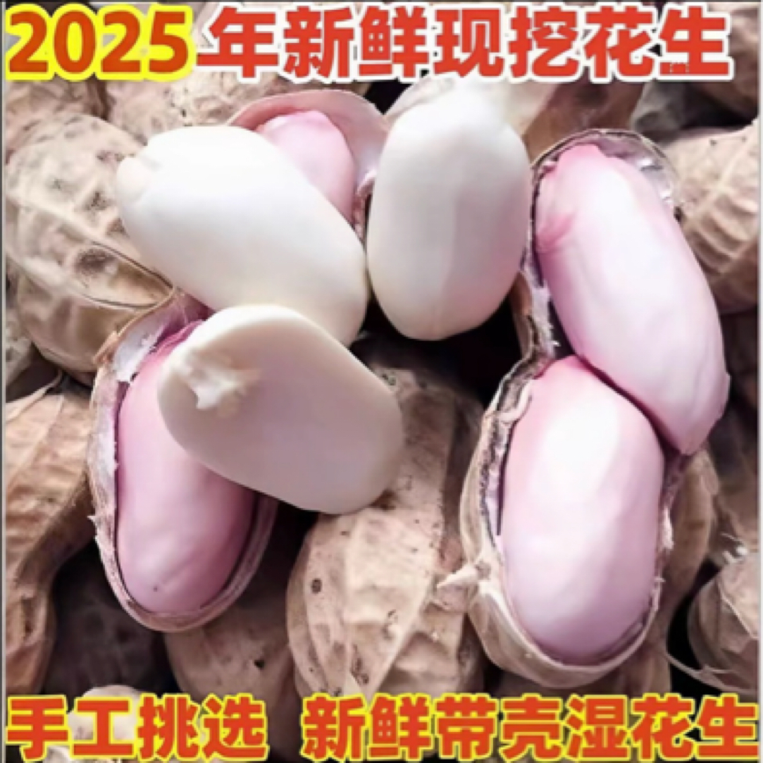 2025年新湿花生（要老的拍这个）当季新鲜带壳湿花生带泥巴生花生