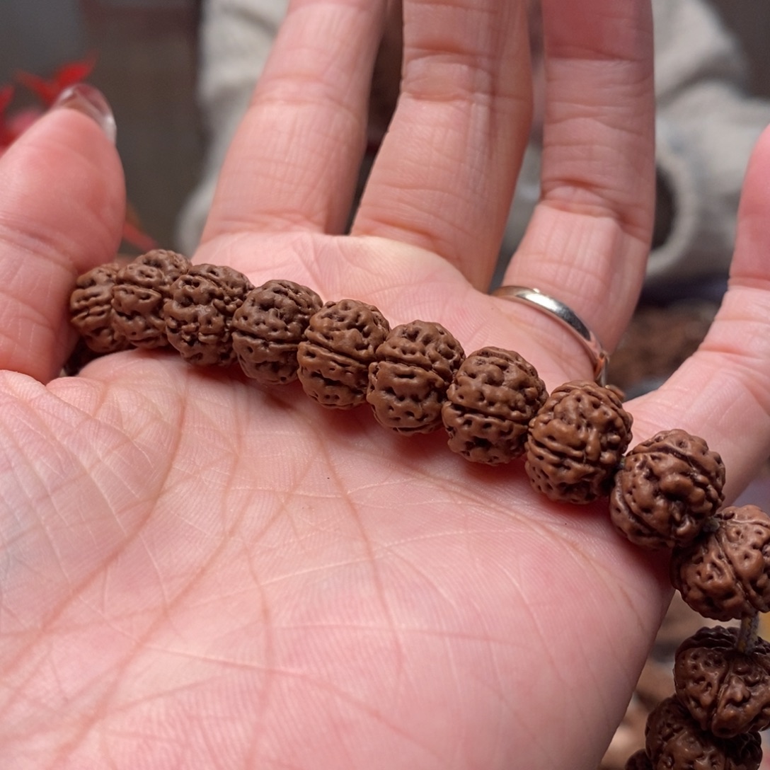 文***生菩提籽类老树王手持