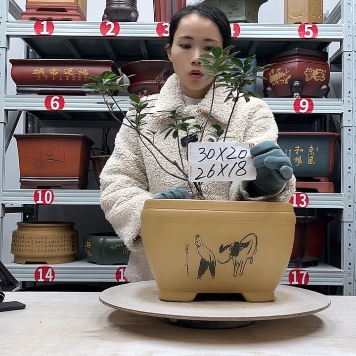 紫砂花盆紫砂花盆