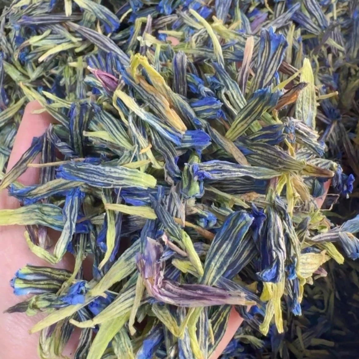 雪域蓝玉簪 碧穹仙草 西藏高海拔 百搭益身茶