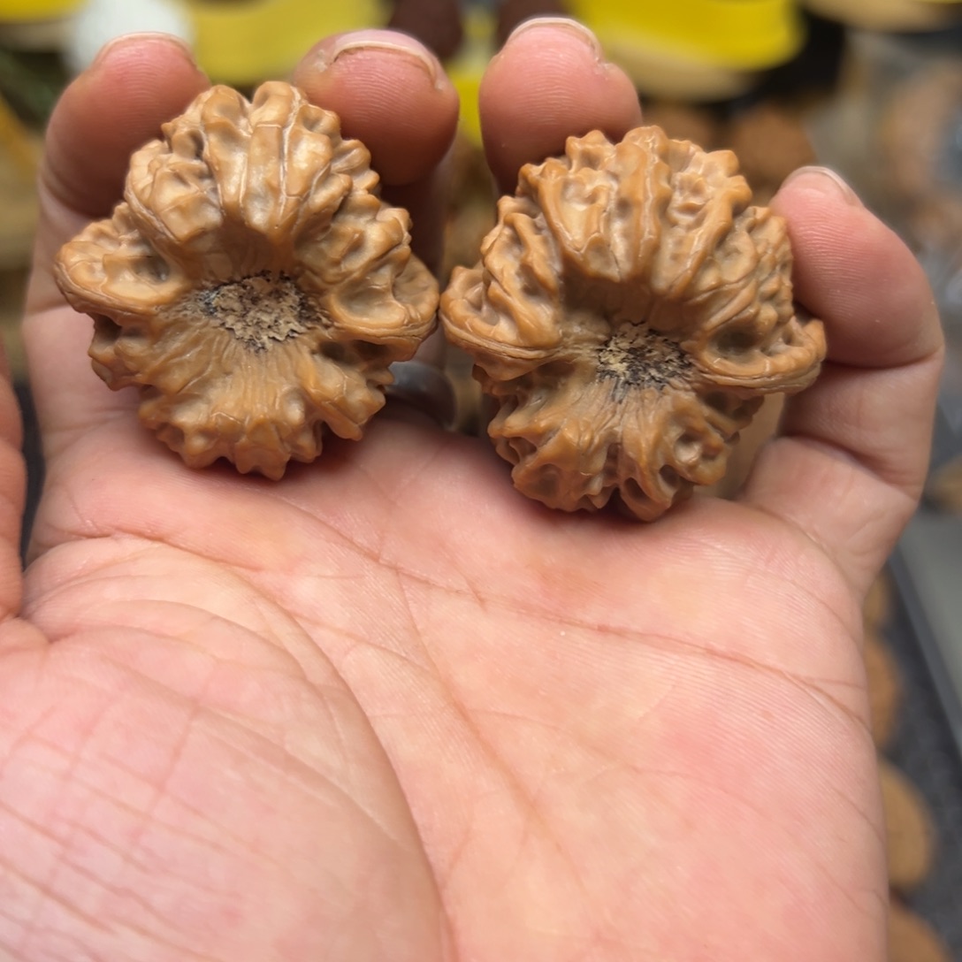 把件文玩核桃L*全品龙门涧狮子头大凹底狮子头40.8