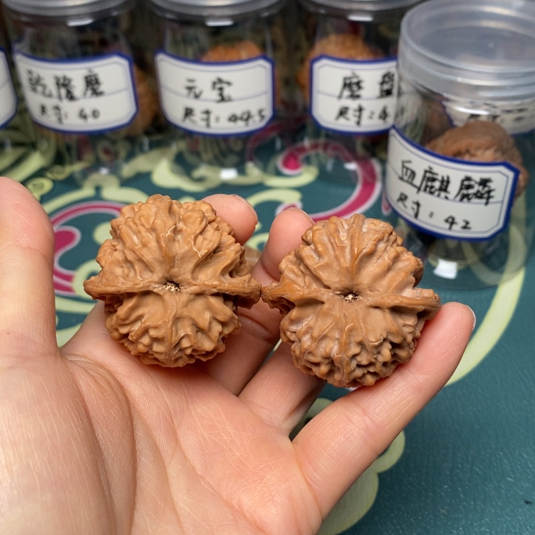 核桃40.5尺全品苹果园