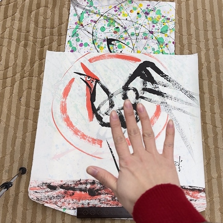 国画名*王花鸟的翅膀是白色和白色