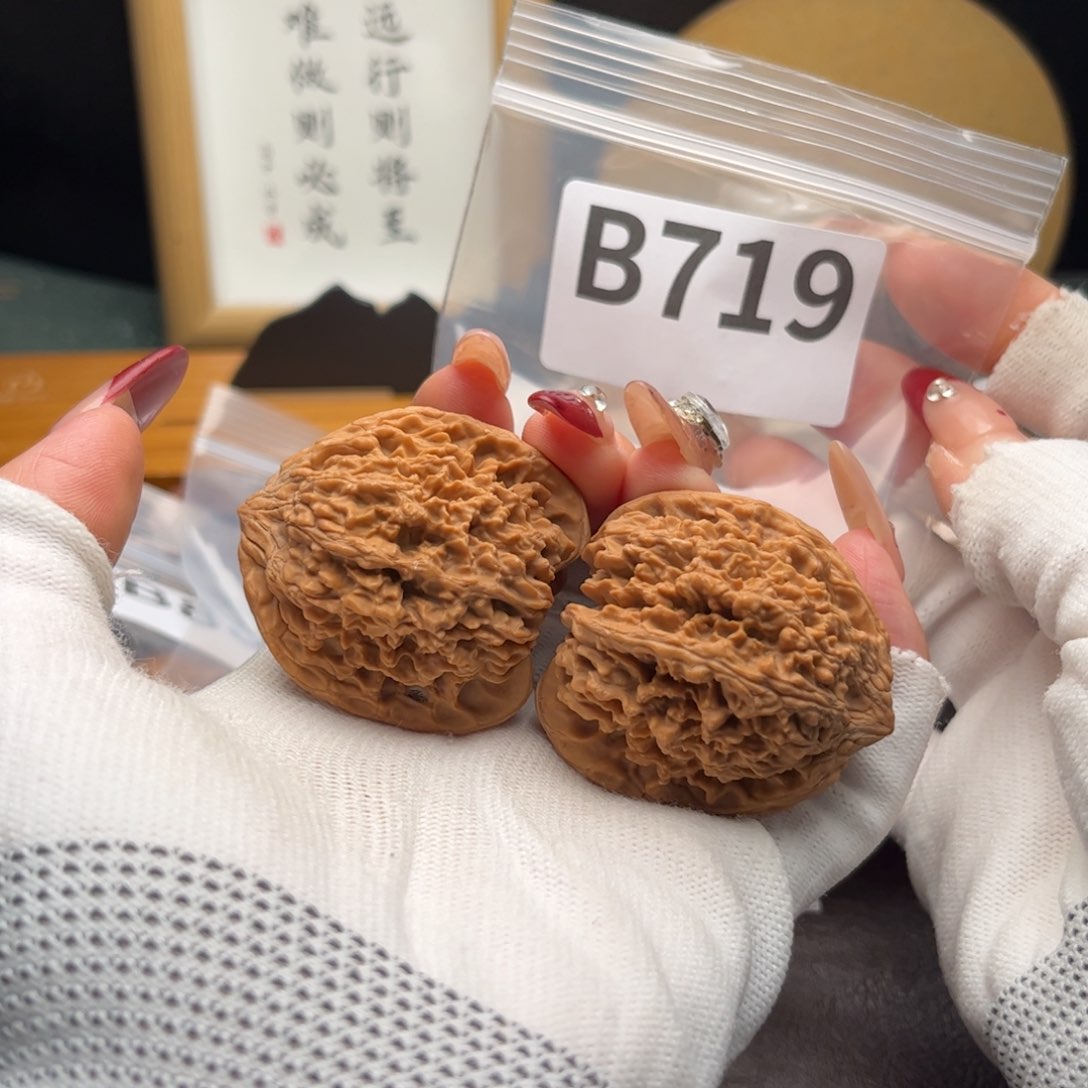文玩核桃把件40星b 719