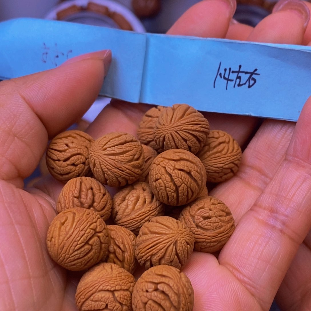 秦岭龙纹桃核18颗