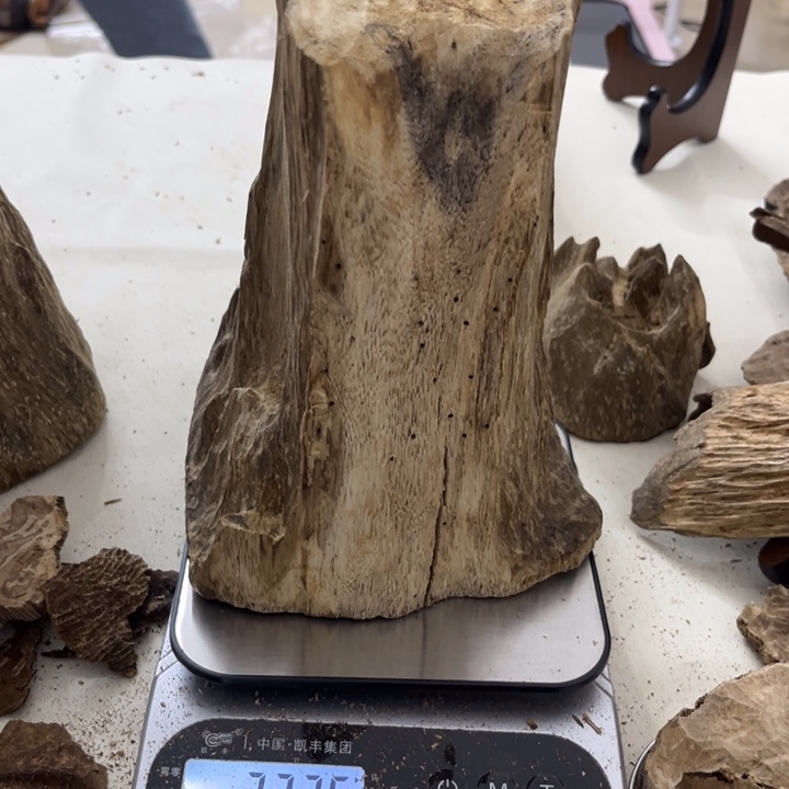 沉香摆件Y****囧海南沉香水格块料727克