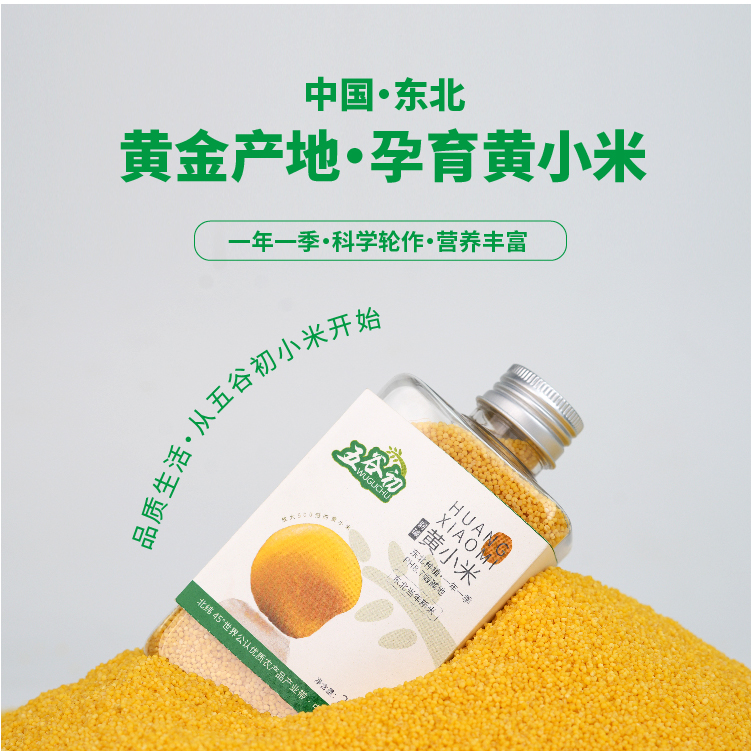 【礼盒装】东北黄小米当季优质新米五谷杂粮米油醇厚粗粮礼盒8瓶装