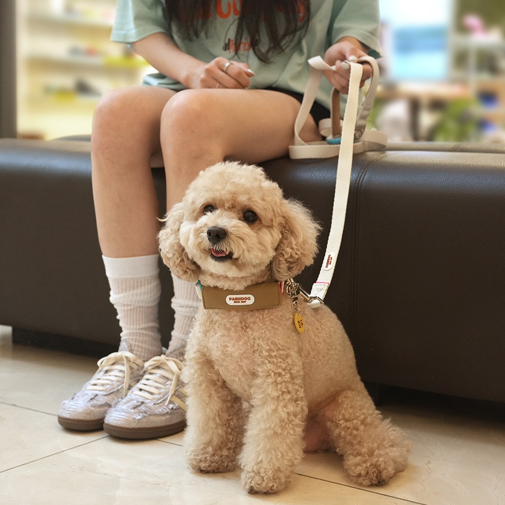 ParisDog新款纯色系狗狗胸背牵引绳适合中小型犬外出遛狗防爆冲