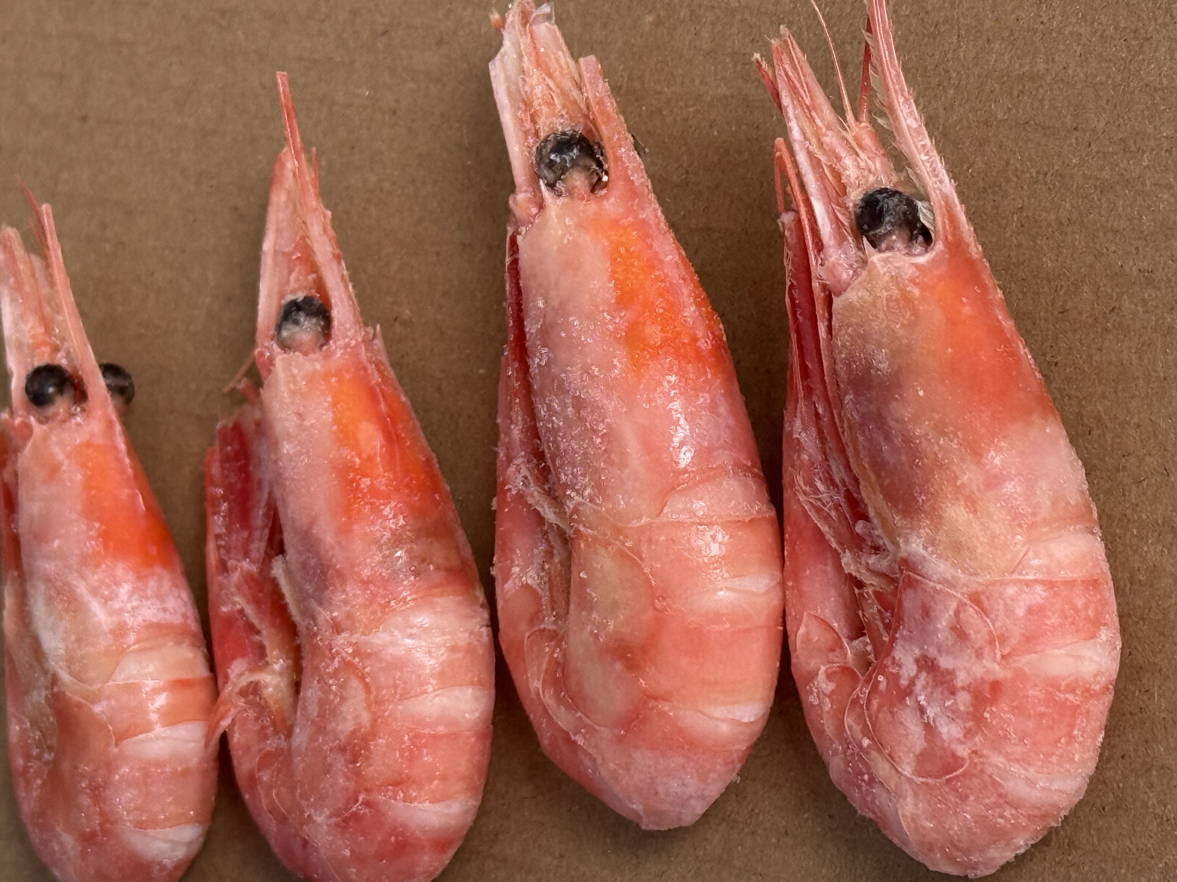 头籽北极甜虾熟冻即食野生深海冰虾