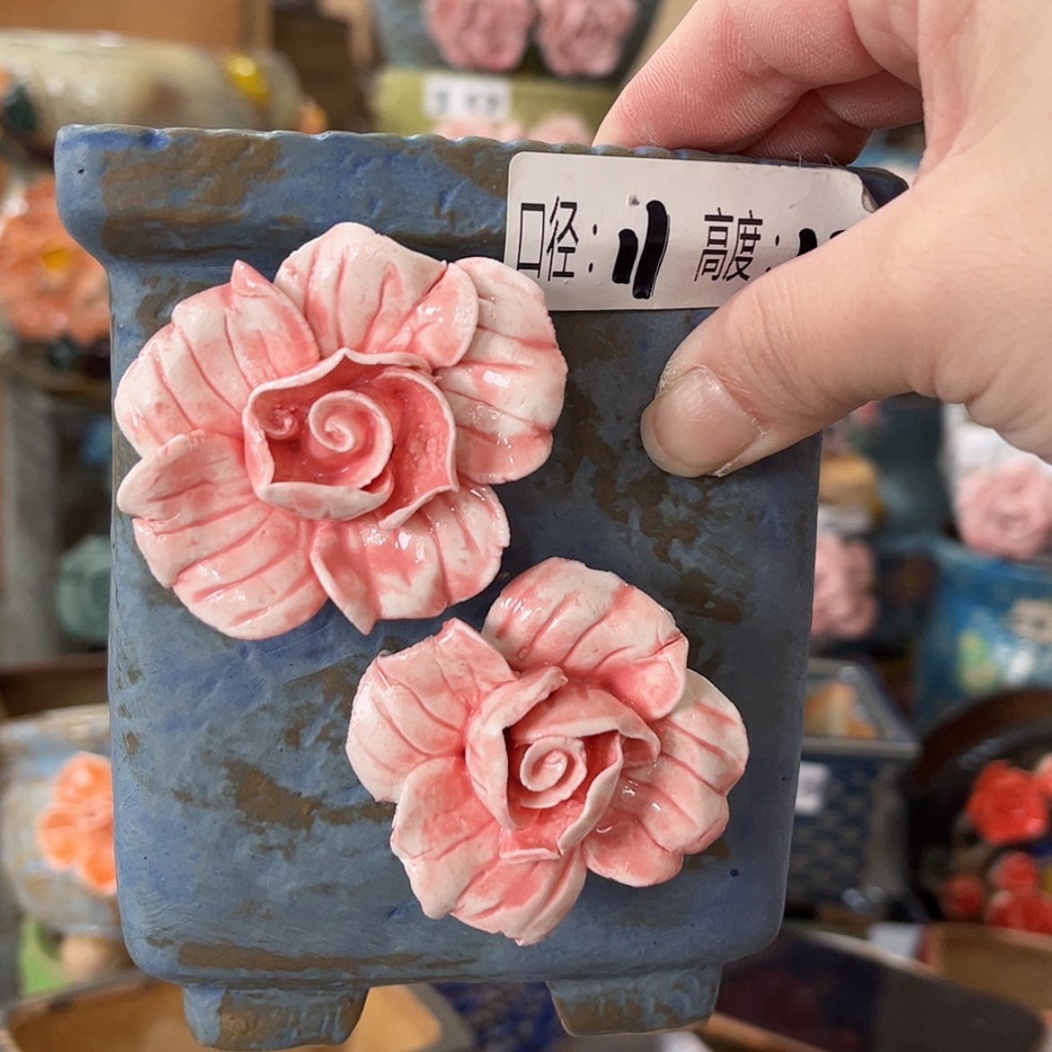 【闪购商品】红陶福利